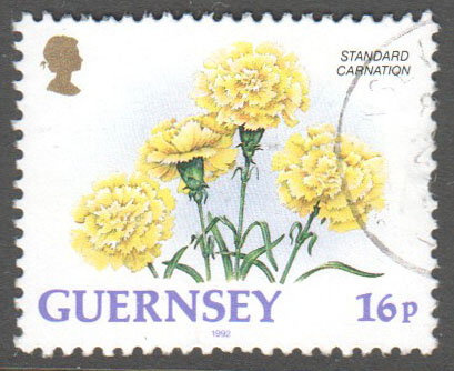 Guernsey Scott 486 Used - Click Image to Close